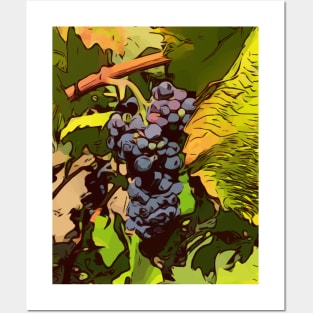 grapes on the vine Posters and Art